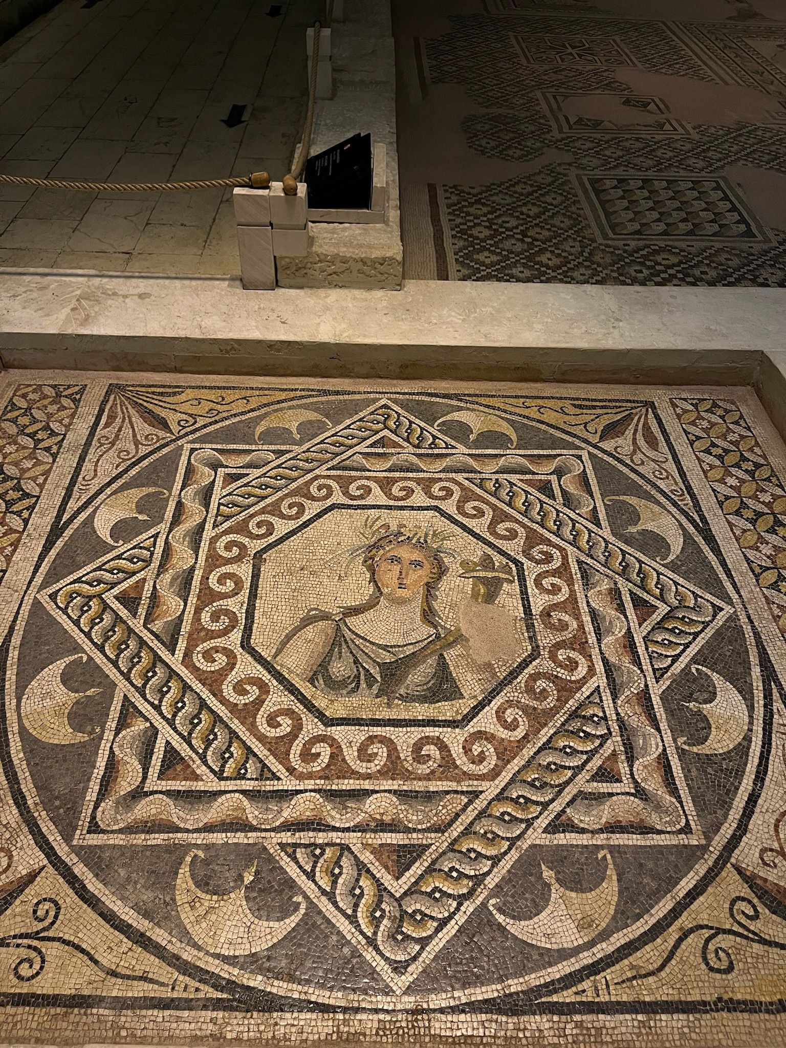 Gaia Mosaic / Zeugma Museum, Gaziantep