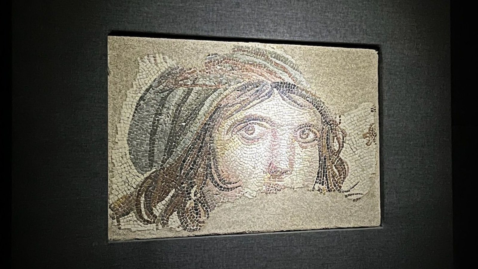 Gypsy Girl Mosaic / Zeugma Museum, Gaziantep